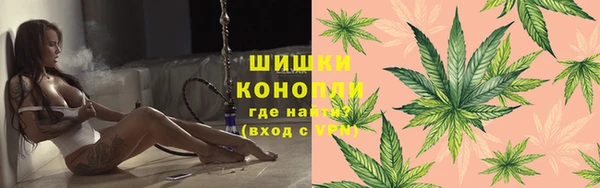 сатива Рославль