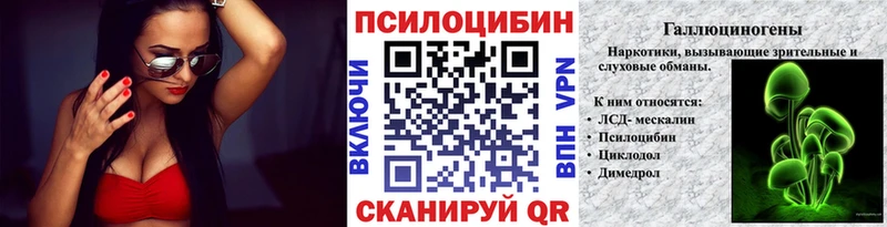 Псилоцибиновые грибы Psilocybe  купить наркотик  Ахтубинск 